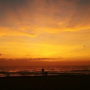 Meet your Posher, Karry